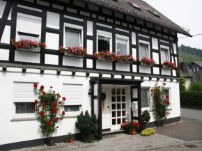 Гостиница Ferienhaus Haus am Medebach, Ольсберг